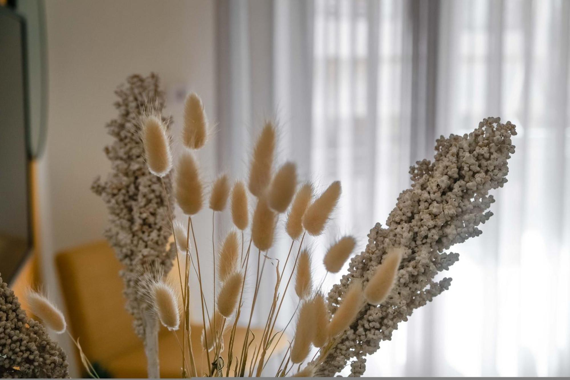 Orsiida Family Apartment ヴォロス エクステリア 写真
